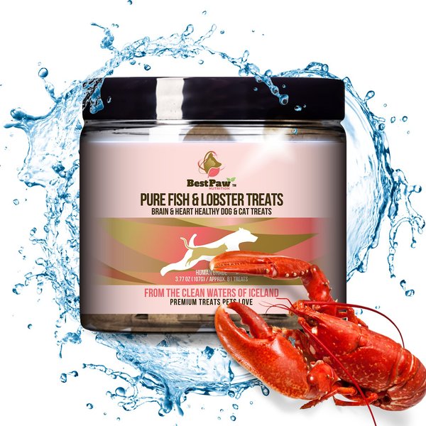 Best Paw Nutrition Wild Fish & Lobster Dog Treats, 16-oz jar slide 1 of 9