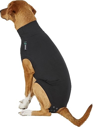 Suitical Recovery Suit for Dogs, Black, Medium