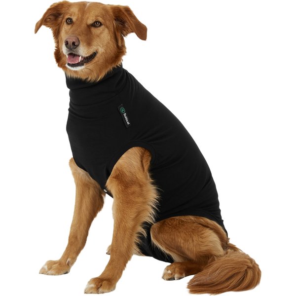 MEDIPAW Recovery Protective Dog Suit, XX-Small - Chewy.com