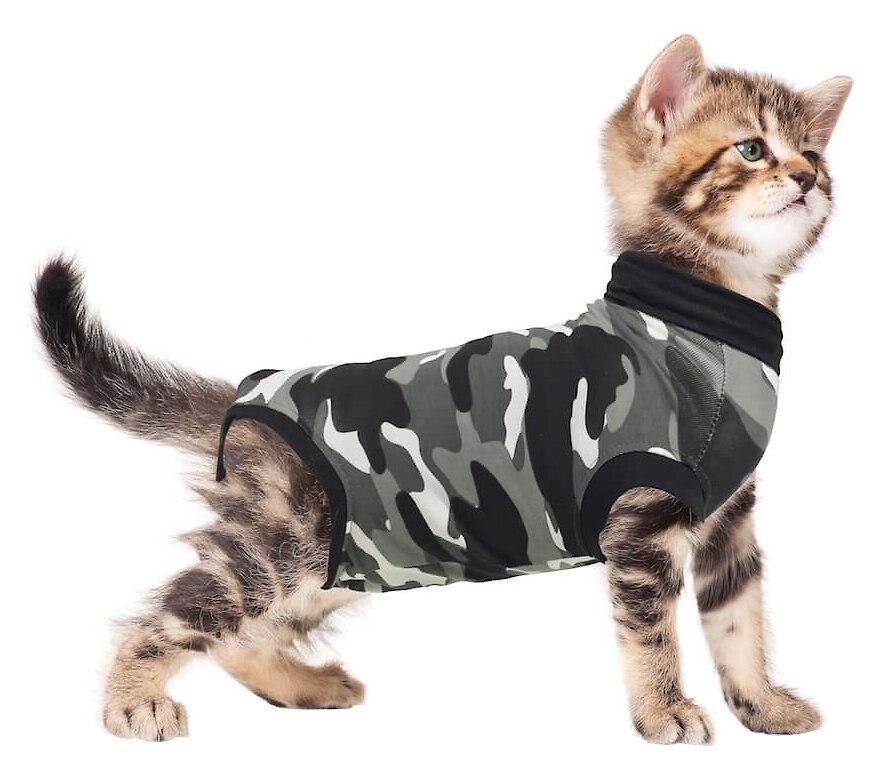 SUITICAL Recovery Suit for Cats Customer Questions