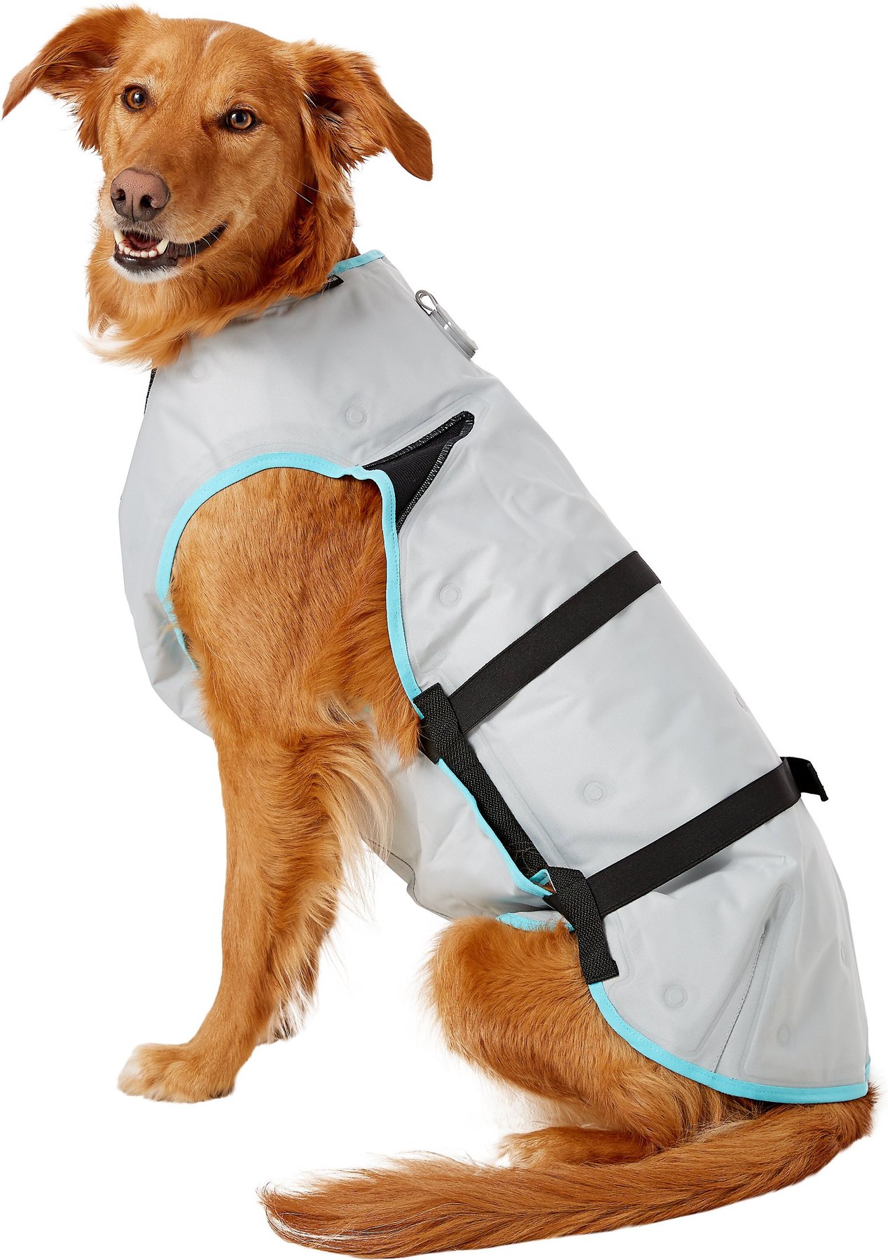 chewy dog cooling vests