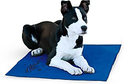 K&H Pet Products Coolin' Dog Mat, Blue, Large