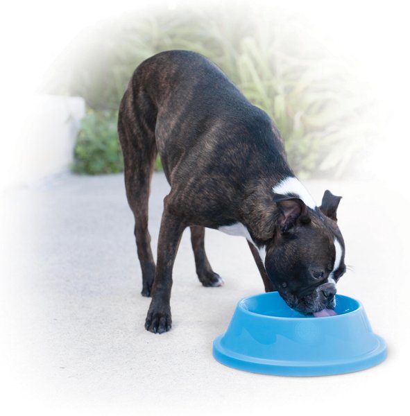 K&H Pet Products Coolin' Bowl Plastic Dog & Cat Bowl, Sky Blue, 32-oz slide 1 of 9