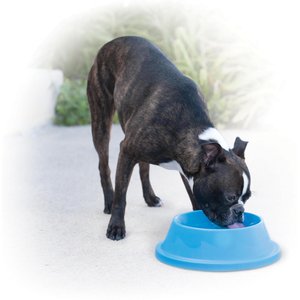 K&H Pet Products Coolin' Bowl Plastic Dog & Cat Bowl, Sky Blue, 32-oz