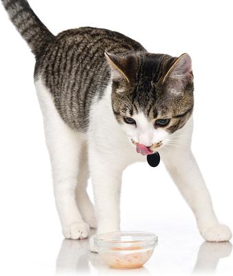 Show full view: X- Hartz Delectables Chowder Tuna & Whitefish Lickable Cat Treat, 1.4-oz, case of 12 slide 4 of 9