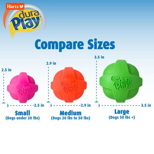 Hartz Dura Play Ball Squeaky Latex Dog Toy, Color Varies, Medium