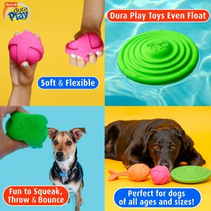 Hartz Dura Play Ball Squeaky Latex Dog Toy, Color Varies, Medium