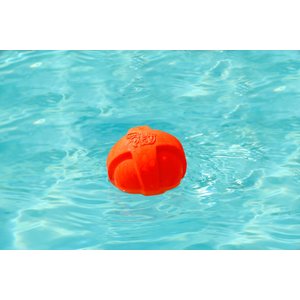 Hartz Dura Play Ball Squeaky Latex Dog Toy, Color Varies, Medium