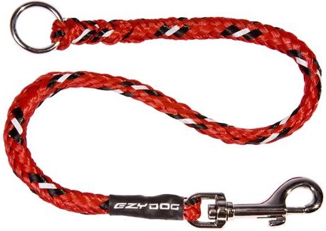 chain dog lead extension