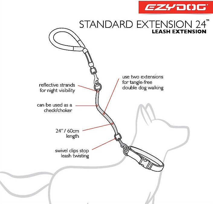 Dog leash outlet extension