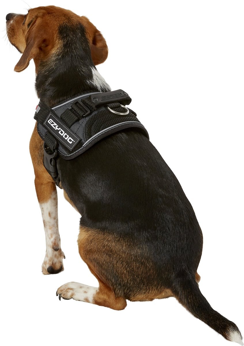 EZYDOG Convert Dog Harness, Charcoal, Small