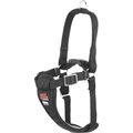 Easy Rider Adjustable Dog Car Harness