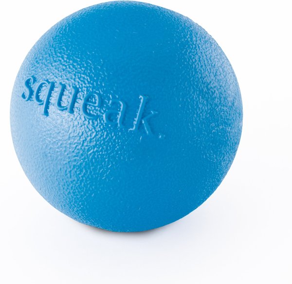 Indestructible Squeaky Dog Balls, Interactive Dog Toys For