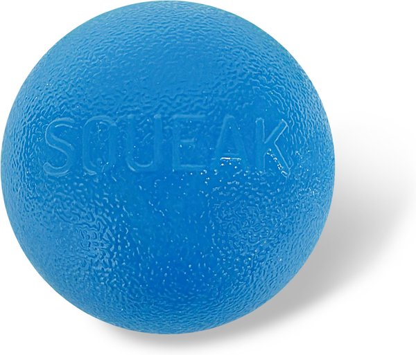 Outward Hound Orbee-Tuff Squeak Ball Tough Dog Chew Toy