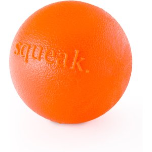 Planet dog squeak clearance ball