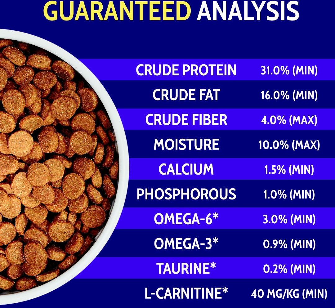 Zignature pork hotsell dog food