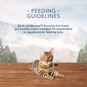 Blue Buffalo Wilderness Chicken Formula Crunchy Grain-Free Cat Treats, 2-oz bag
