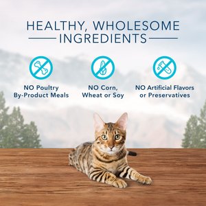 Blue Buffalo Wilderness Trout Formula Crunchy Grain-Free Cat Treats, 2-oz bag