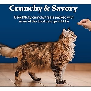 Blue Buffalo Wilderness Trout Formula Crunchy Grain-Free Cat Treats, 2-oz bag