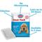 Show in main carousel: Snuggle Puppy 24 Hour Heat Packs Replacement, 3 count slide 2 of 9