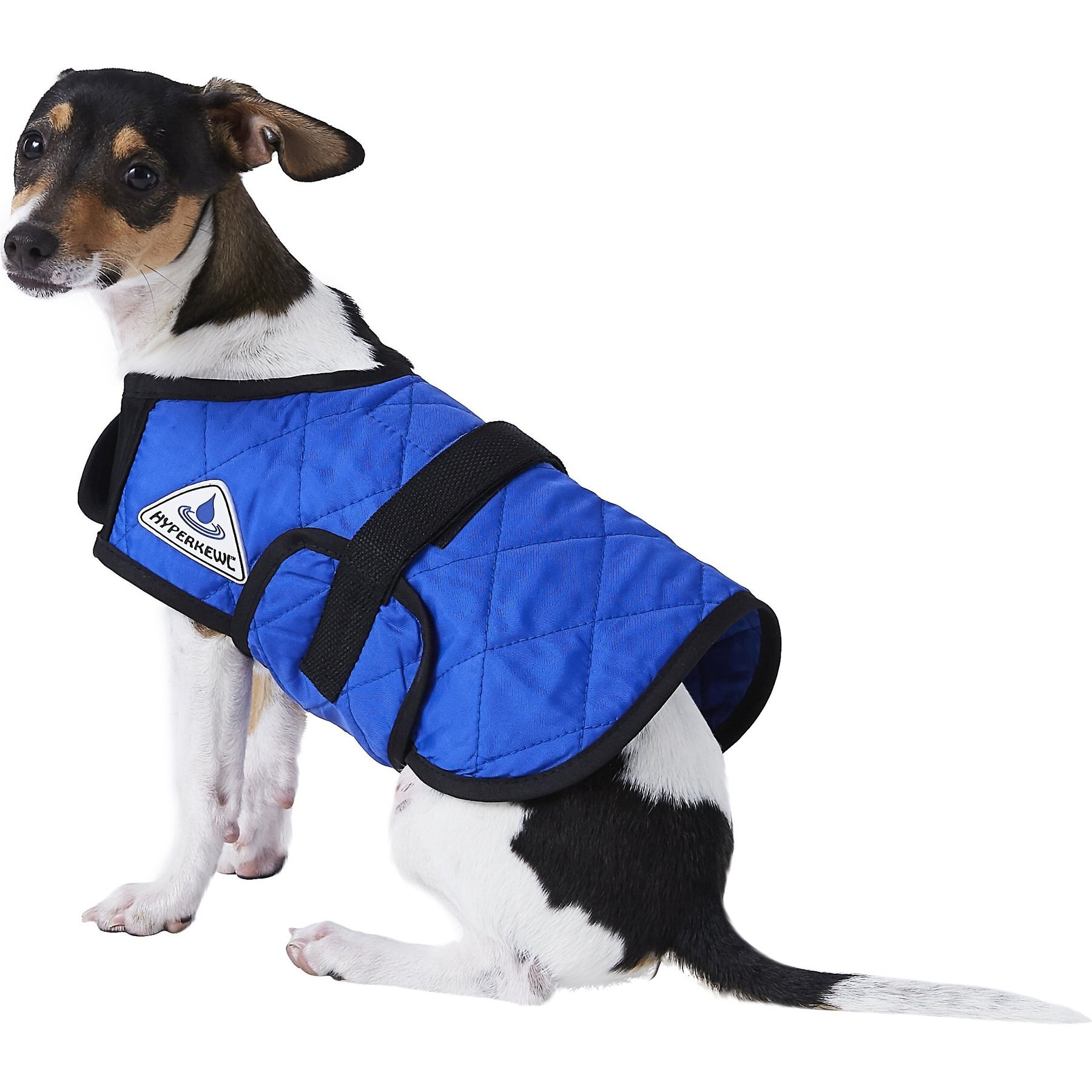 Hyperkewl dog outlet vest