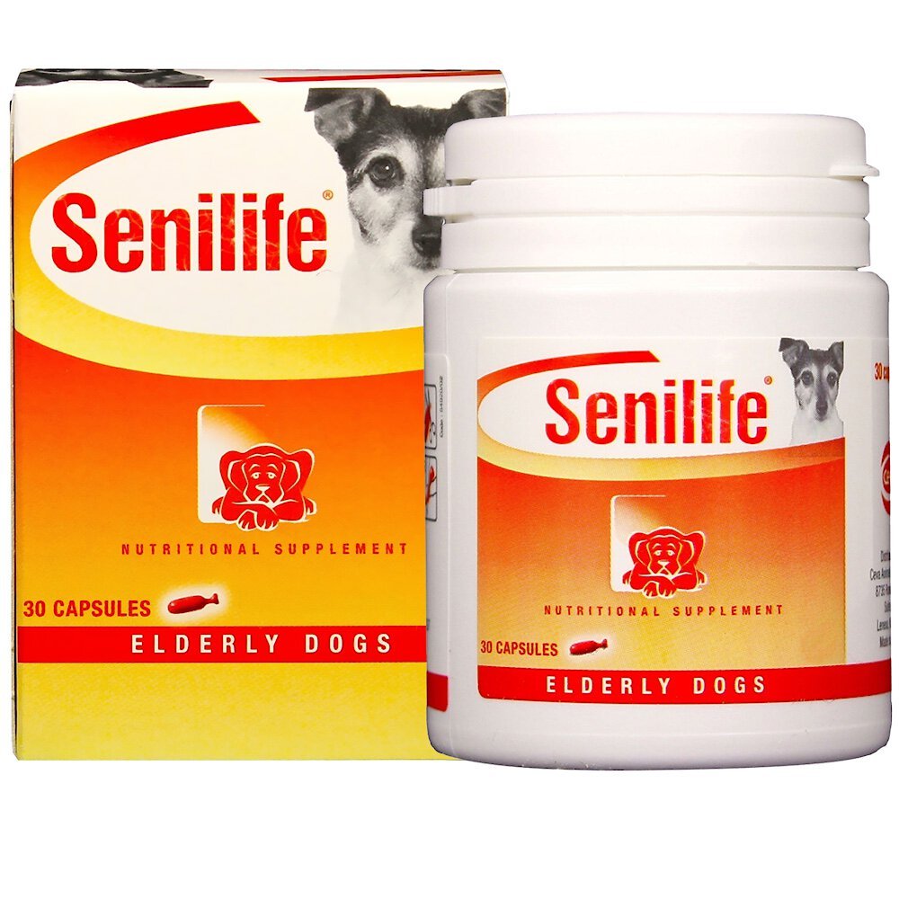 SENILIFE Senior Brain Health Capsules Dog Supplement reviews