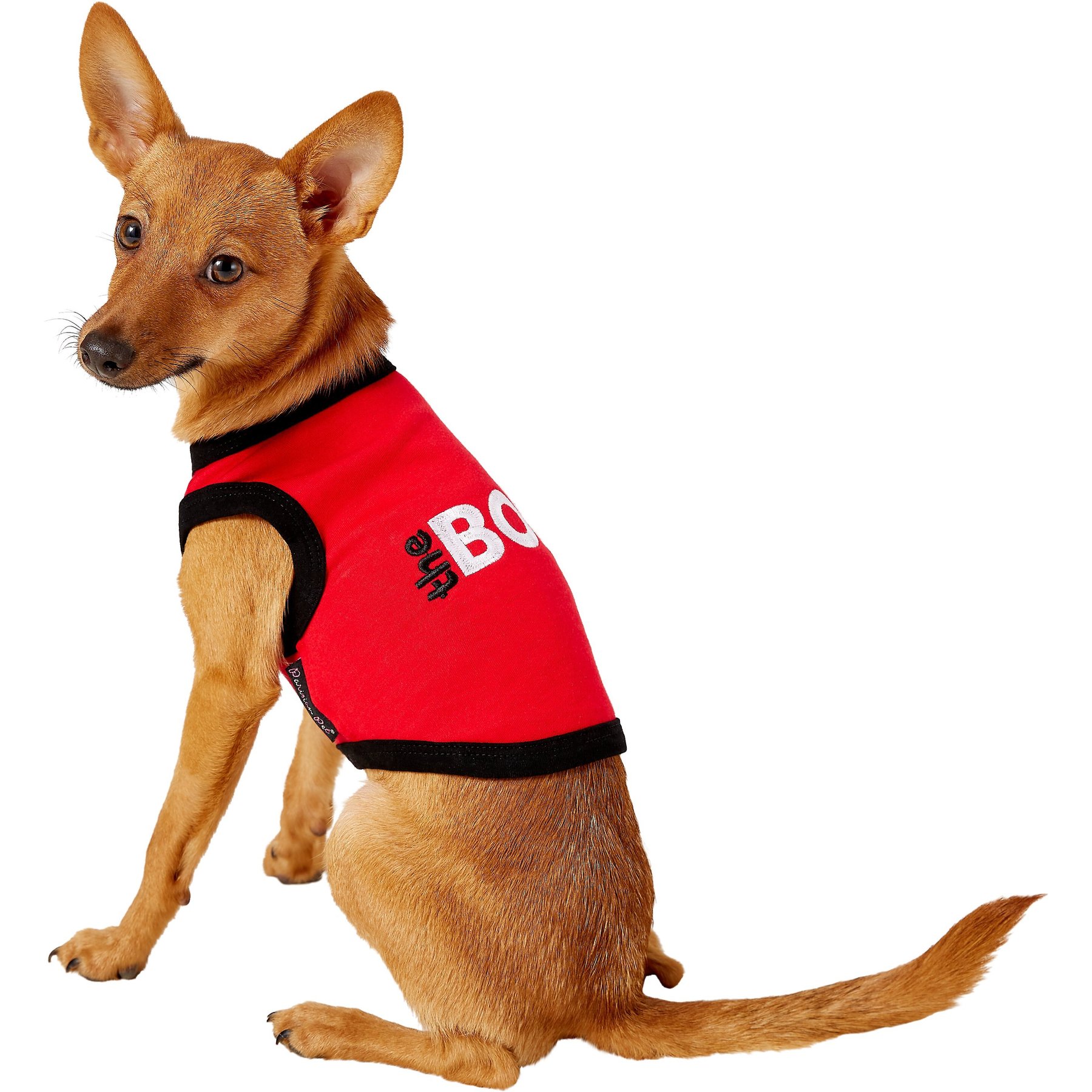 Parisian Pet The Boss Dog & Cat T-Shirt, Small