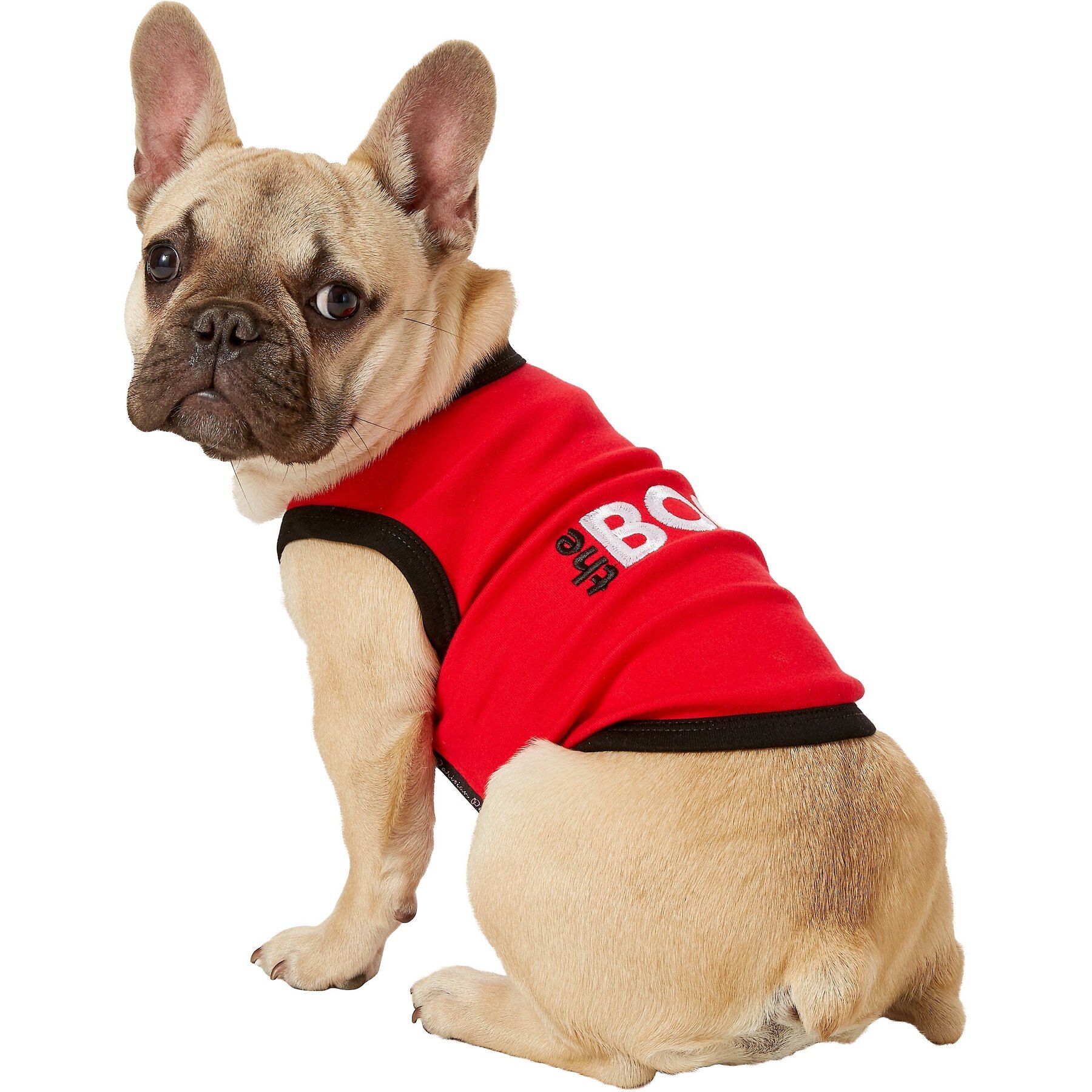 Parisian Pet The Boss Dog & Cat T-Shirt, Medium