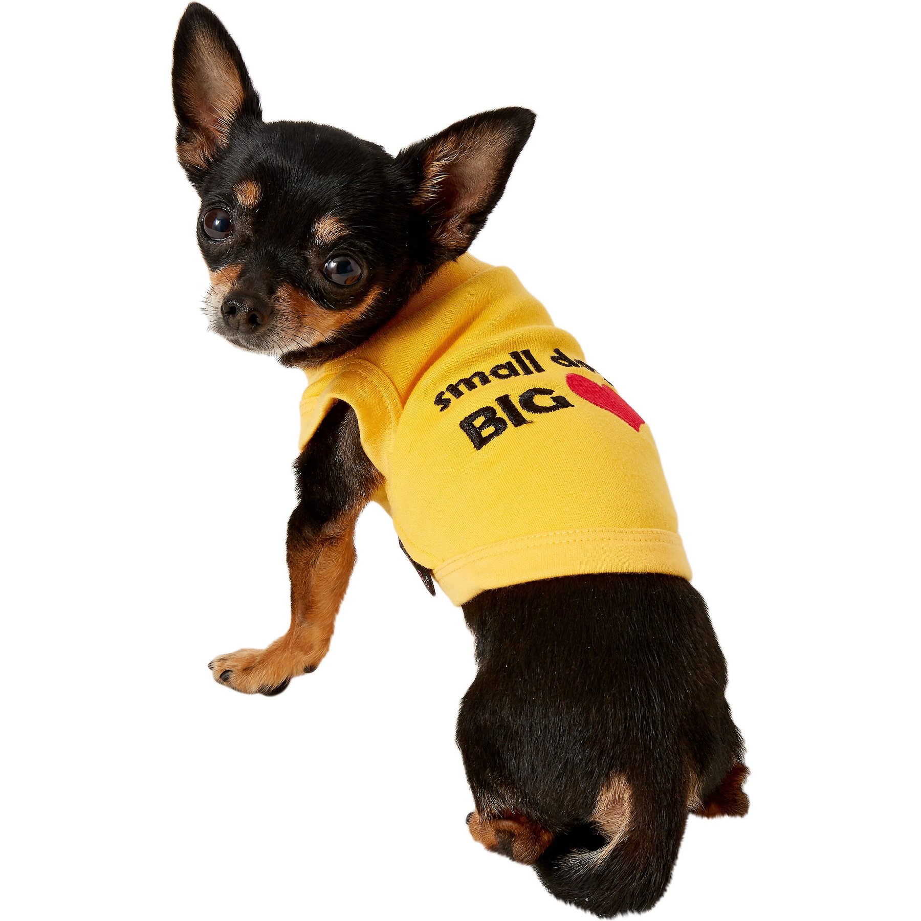 Parisian Pet Valentine's Day Small Dog Big Heart Dog T-Shirt, XX-Small