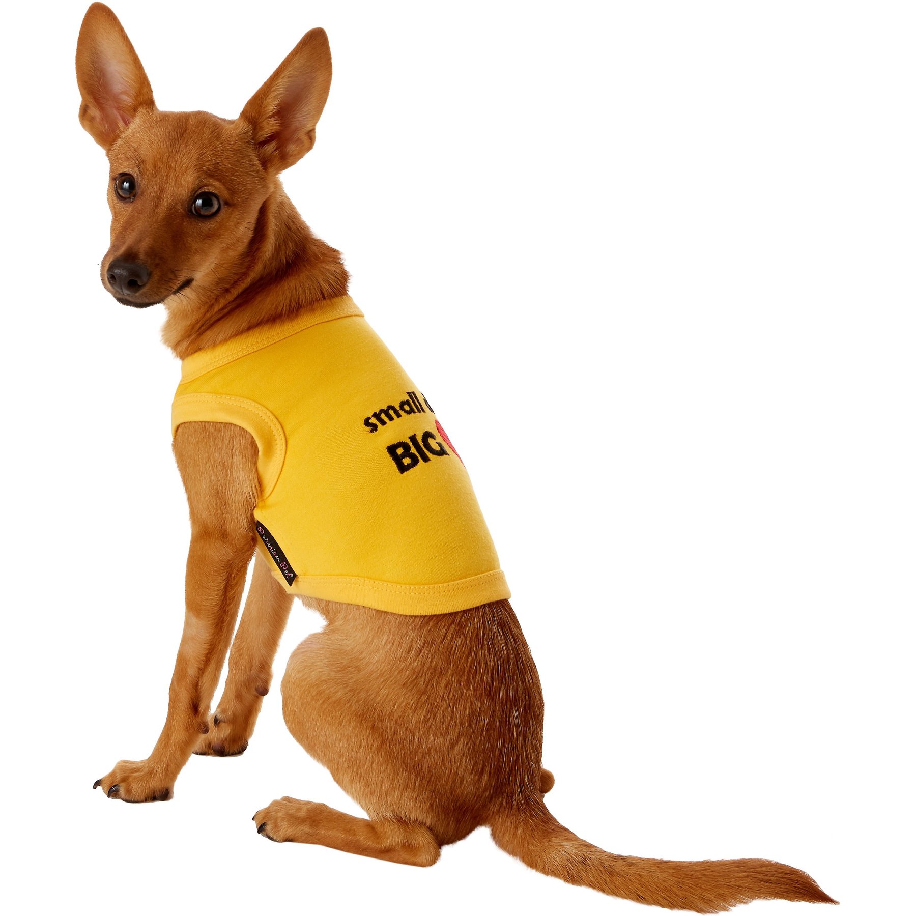 Parisian Pet Valentine's Day Small Dog Big Heart Dog T-Shirt, X-Small