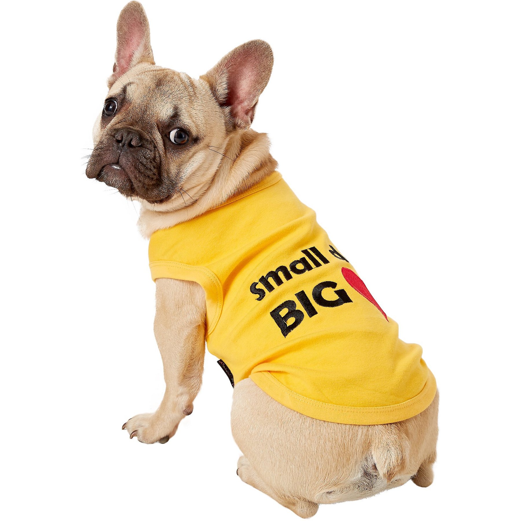 Parisian Pet Valentine's Day Small Dog Big Heart Dog T-Shirt, Large
