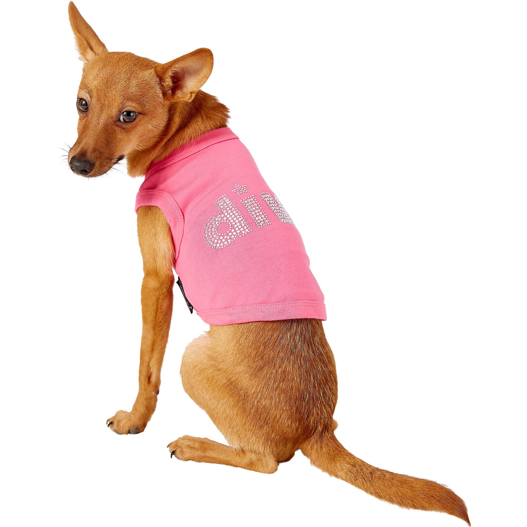 Parisian Pet Diva Dog & Cat T-Shirt, Small