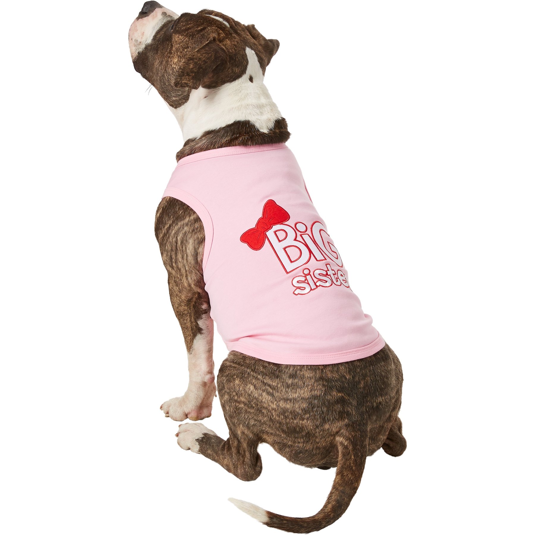 Parisian Pet Big Sister Dog & Cat T-Shirt, XX-Large
