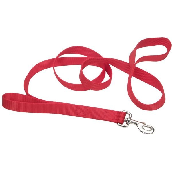 LOOPS 2 Double Handle Dog Leash, Red