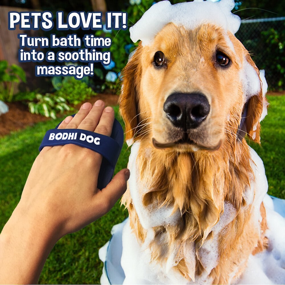 BODHI DOG Grooming Dog, Cat & Small Animal Shampoo Brush