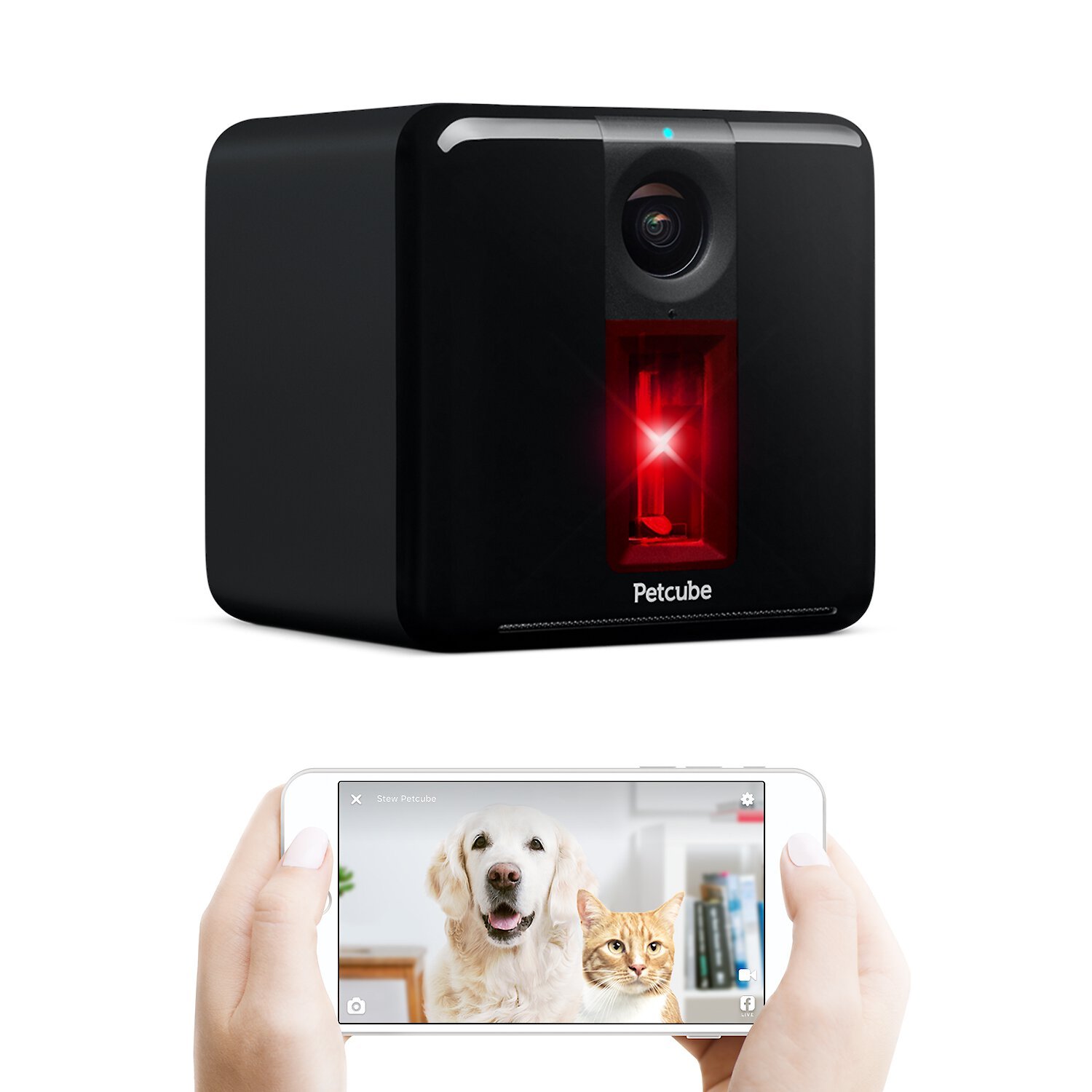 Chewy pet outlet camera