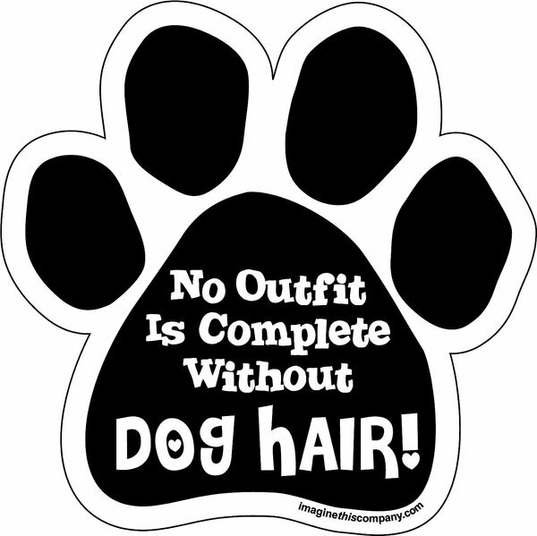 Imagine This Company \"No Outfit is Complete Without Dog Hair\" Magnet