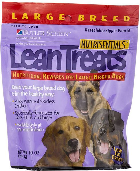 Nutrisentials Lean Treats Nutritional Large Breed Dog Treats, 10-oz bag slide 1 of 4