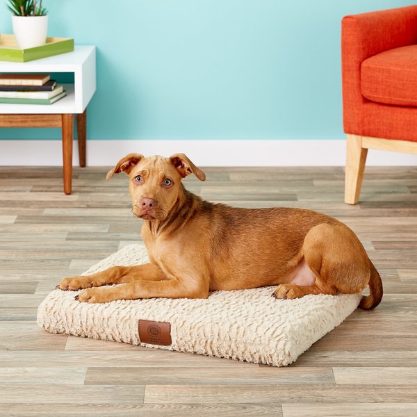 FRISCO Corner Bolster Orthopedic Dog Crate Mat, Teal, 30in