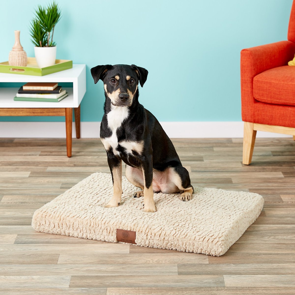 AMERICAN KENNEL CLUB AKC Orthopedic Dog Crate Mat, Tan, 30in