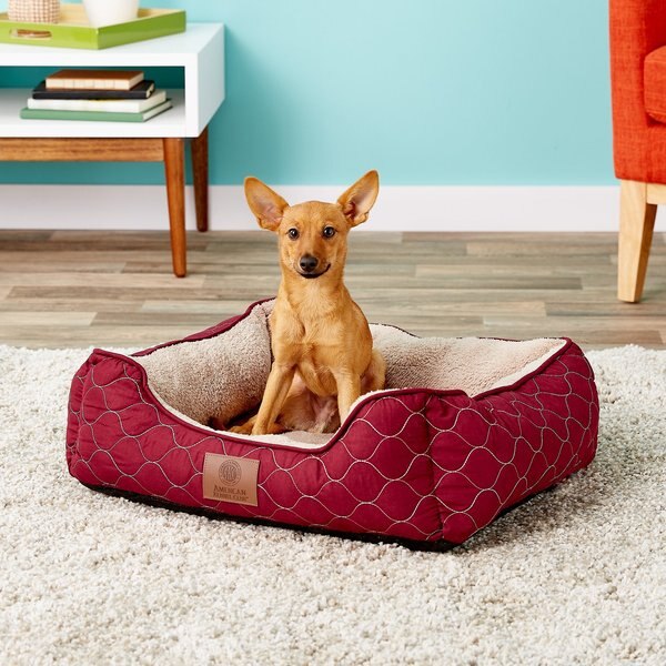 AMERICAN KENNEL CLUB AKC Burlap Bolster Cat & Dog Bed, Gray