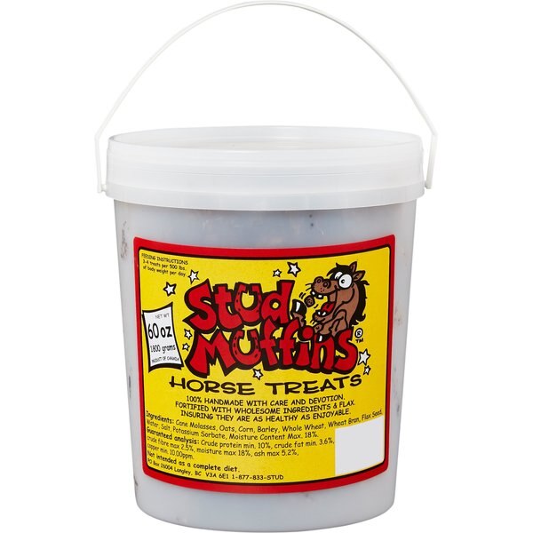 STUD MUFFINS Molasses Horse Treats, 60oz tub