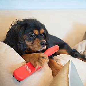 Lilly Brush Be Forever Furless Dog & Cat Hair Remover