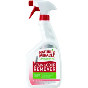 Cat Enzymatic Stain Remover & Odor Eliminator Spray, Melon Burst Scent, 32-oz bottle