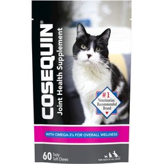 Fish Oil for Cats PetMD