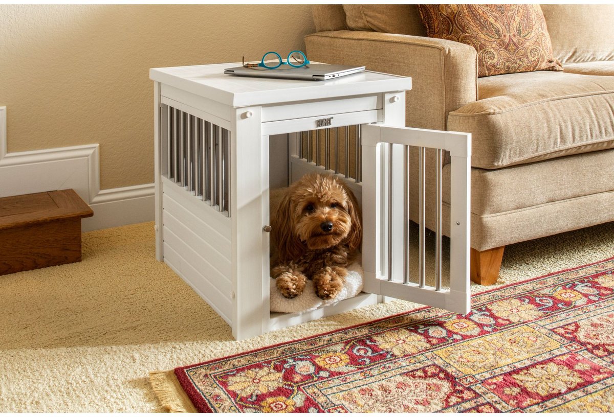 What size crate for a Cavapoo- 7 cool crates for your Cavapoo