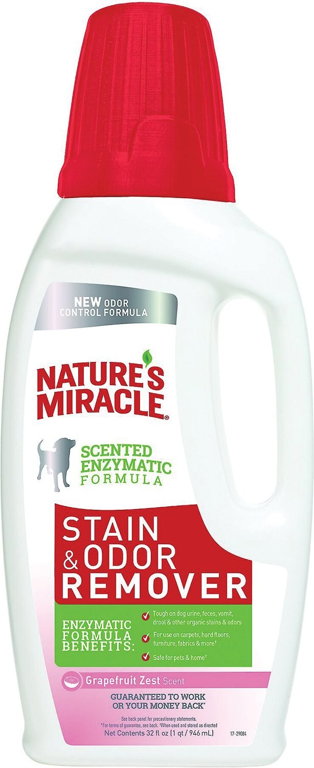 NATURE'S MIRACLE Dog Stain & Odor Remover, Grapefruit Scent, 32oz