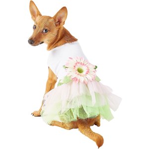 Dog Outfits for Every Spring Occasion