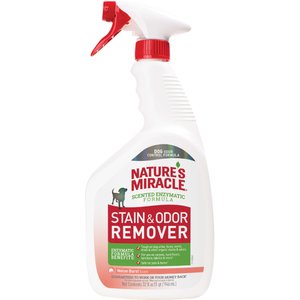 Nature's Miracle Dog Enzymatic Stain Remover & Odor Eliminator Spray, Melon Burst Scent, 32-oz bottle