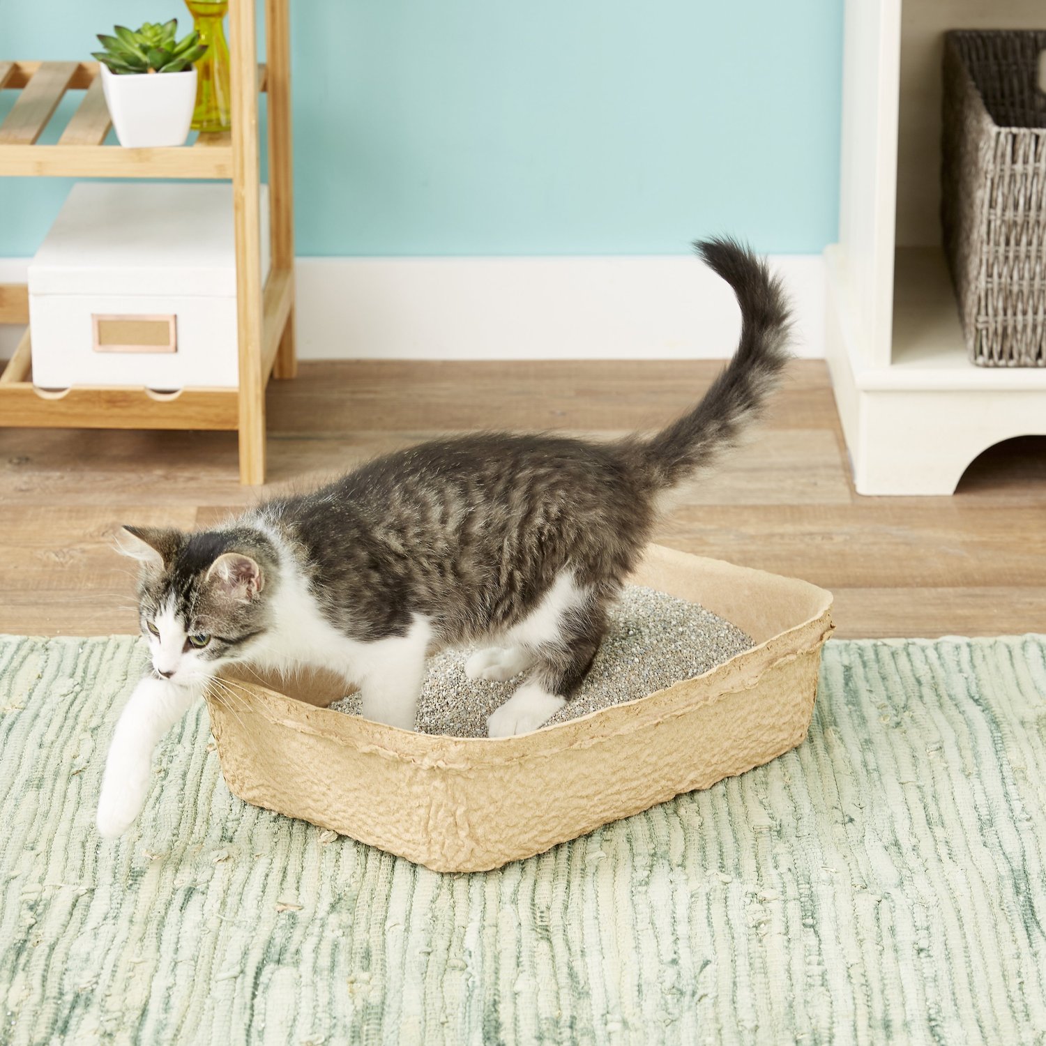 PET ZONE odorLESS Disposable Cat Litter Box & Litter Box Liner, 3pack